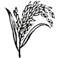 বাংলাদেশ জাতীয়তাবাদী দল