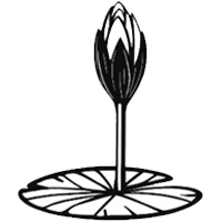 জাতীয় নাগরিক পার্টি