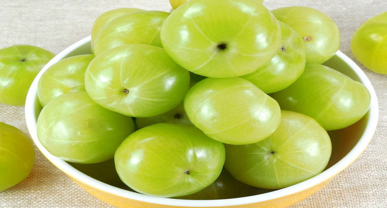 ভায়াগ্রার বিকল্প আমলকি