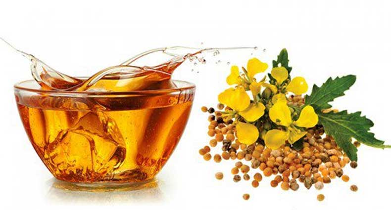 সরিষা তেলের অনেক গুণ