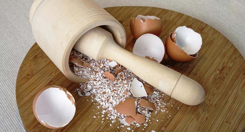 ডিমের খোসাই বহু রোগের সমাধান!