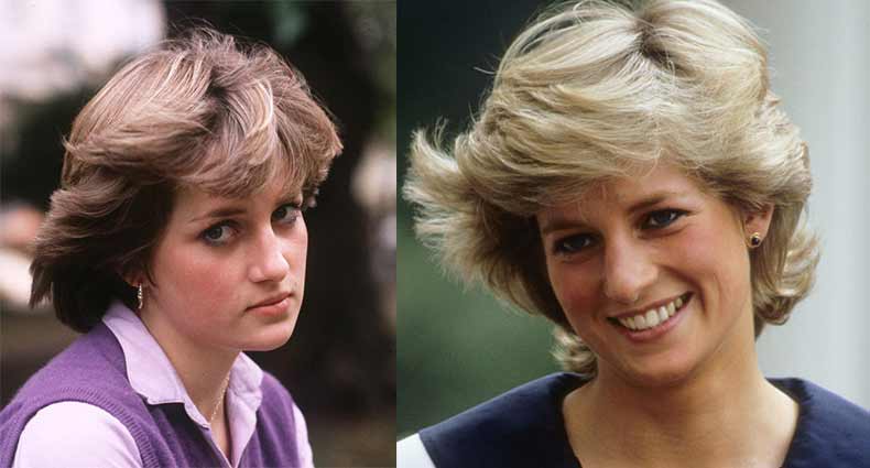 সেই প্রিন্সেস ডায়নার কথা মনে আছে?