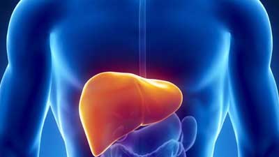 শরীরে আয়রন বেড়ে গেলেই লিভার ‌ড্যামেজ