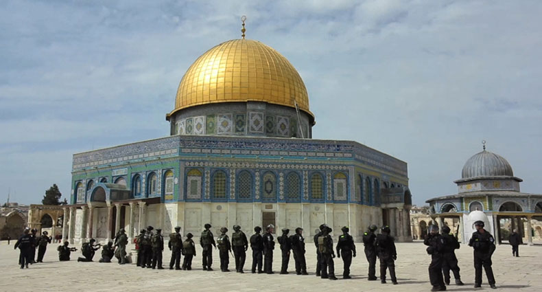 Xola bir bolaga mushukini korsatadi