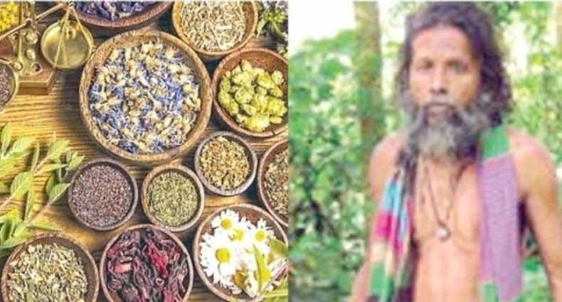 ভেষজশিল্পে নতুন আশা