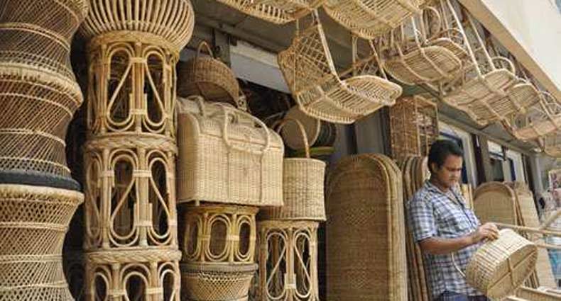 বিলুপ্তির পথে বেত বাগান