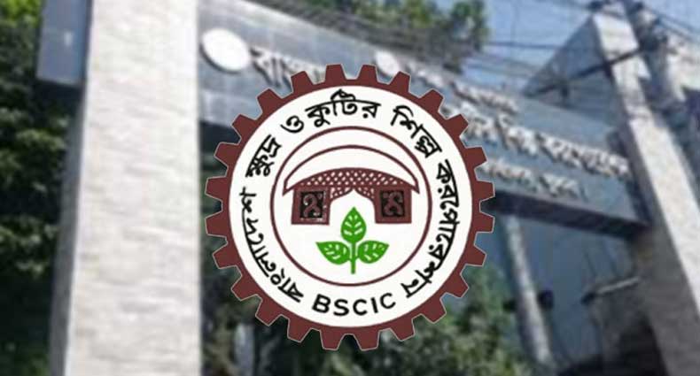 নামসর্বস্ব প্রতিষ্ঠানের অভিজ্ঞতা দেখিয়ে ৬ষ্ঠ গ্রেডে বিসিকে নিয়োগ