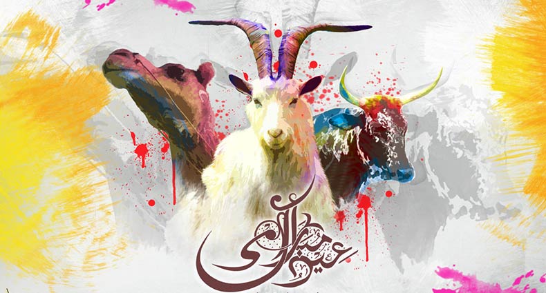 কুরবানী সংক্রান্ত কিছু নিয়ম-কানুন জেনে রাখুন