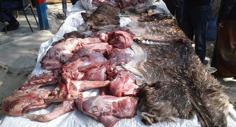 ৪০০ টাকায় মিলছে হরিণের মাংস!