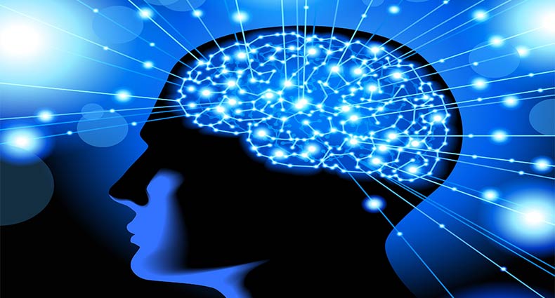 ১১টি খাবার আপনাকে করতে পারে আরও বুদ্ধিমান