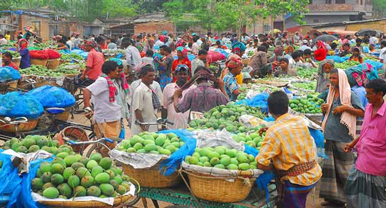 রাজশাহীতে জমে উঠেছে আমের বাজার