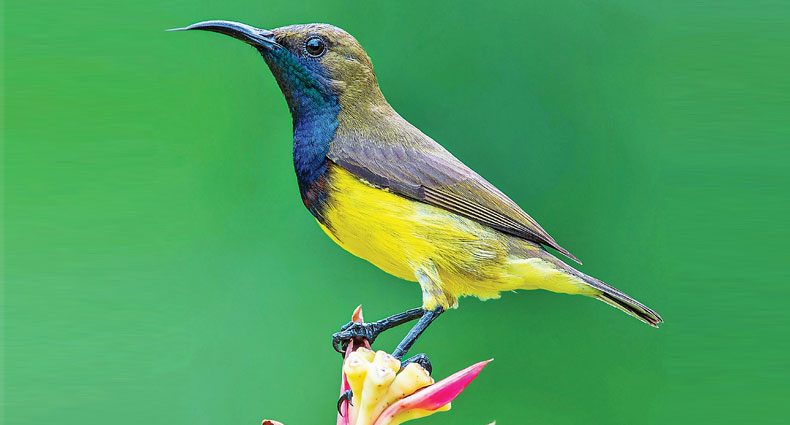 Birinchi marta rus gey porno jinsiy aloqa Seksi striptiz porno video rus