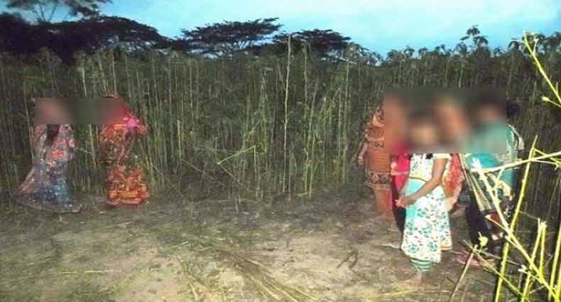 পাট ক্ষেতে নিয়ে ৬ বছরের শিশুকে ধর্ষণ