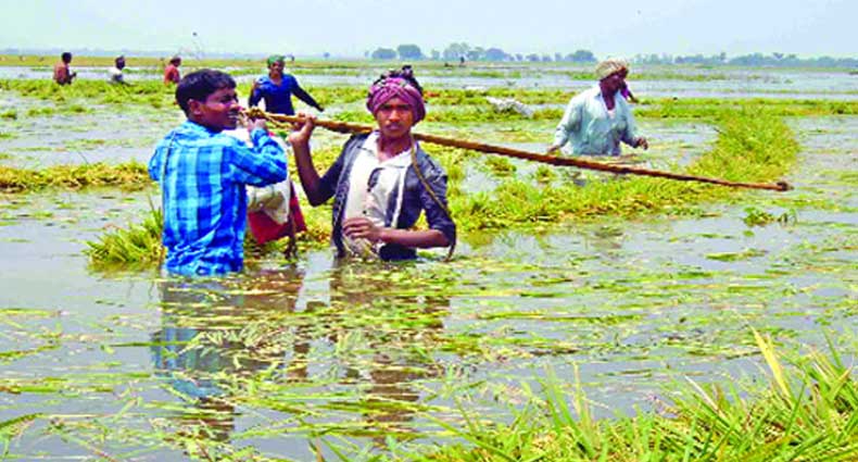বৈরি আবহাওয়া পাত্তা দেয়নি সরকার