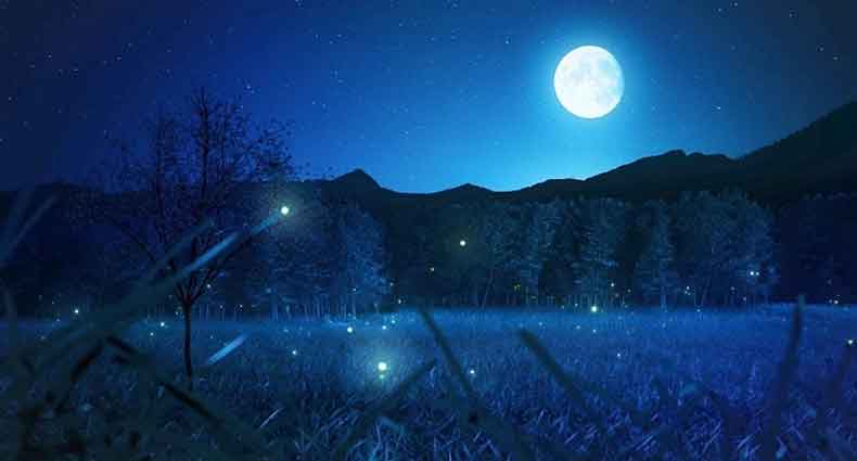 রাত্রিযাপনে ইসলামী নির্দেশনা