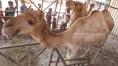 9 oylik chaqaloqni tabriklaymiz