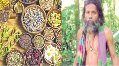 ভেষজশিল্পে নতুন আশা