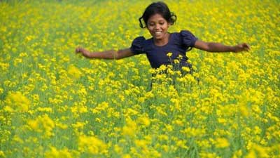 সবুজের গাঁয়ে হলুদ