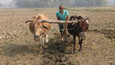 Milena Velba va uning dostlari video