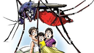 চিকনগুনিয়া কী, কীভাবে ছড়ায়, চিকিৎসা কী?