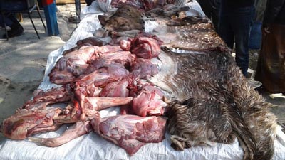 ৪০০ টাকায় মিলছে হরিণের মাংস!