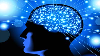 ১১টি খাবার আপনাকে করতে পারে আরও বুদ্ধিমান