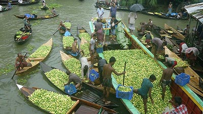 ভিমরুলীর ভাসমান পেয়ারা বাজার