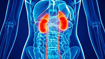 লক্ষণ প্রকাশ ছাড়াই নষ্ট হয়ে যেতে পারে কিডনি