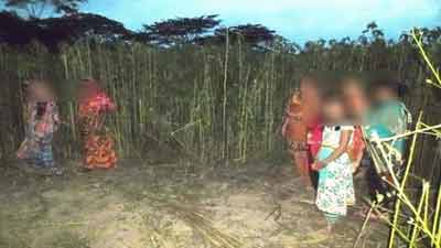 পাট ক্ষেতে নিয়ে ৬ বছরের শিশুকে ধর্ষণ