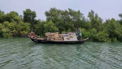 কুতুবদিয়া, মহেশখালী ও সোনাদিয়া ট্রিপ