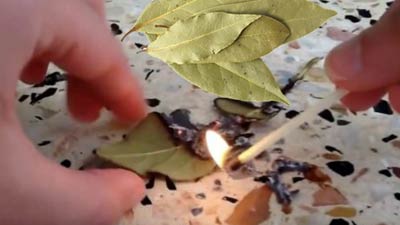 ঘরে প্রতিদিন একটি তেজপাতা পুড়িয়েই দেখুন!