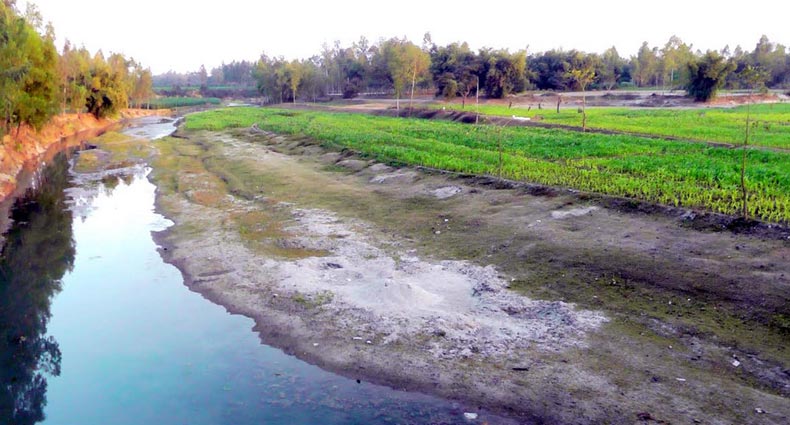 এক সময়ের খরস্রোতা নদী এখন মরা খাল