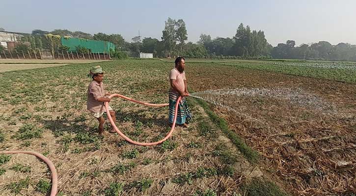 আলুক্ষেত পরিচর্যায় ব্যস্ত কৃষক