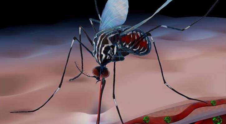 ডেঙ্গুতে নতুন হাসপাতালে ভর্তি ৮ জন, মোট ৪০