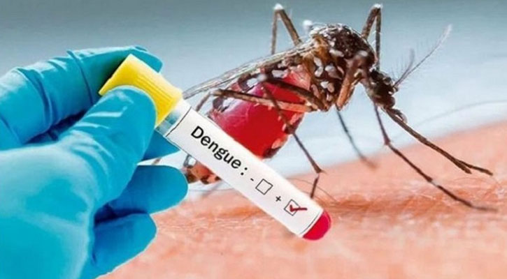 করোনার মধ্যেই ডেঙ্গুর হানা