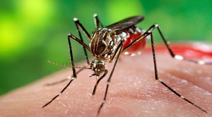 এডিস মশা, ডেঙ্গুজ্বর এবং প্রতিকারে সচেতনতা