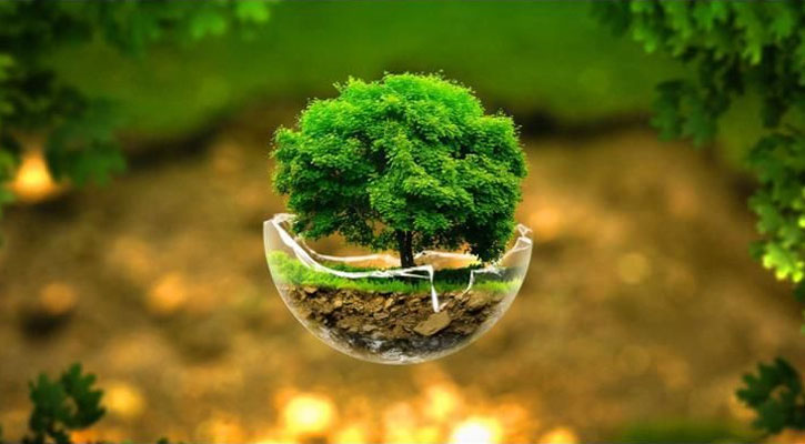 পরিবেশ সুরক্ষায় ইসলামের পরিচর্যা