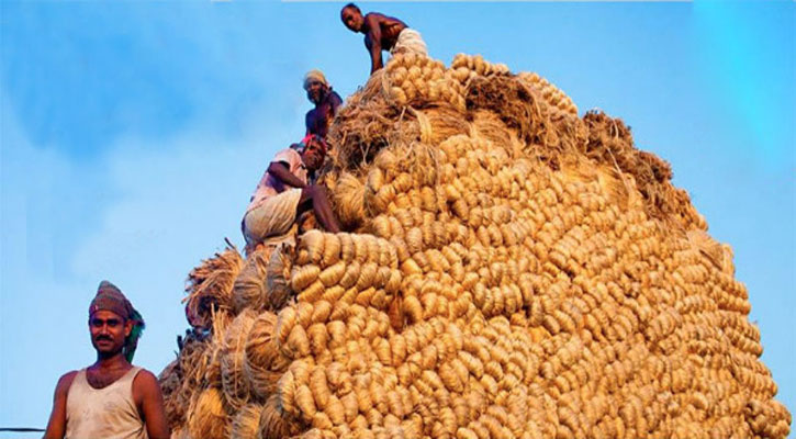 সোনালি আঁশে সুদিন ফেরার অপেক্ষা