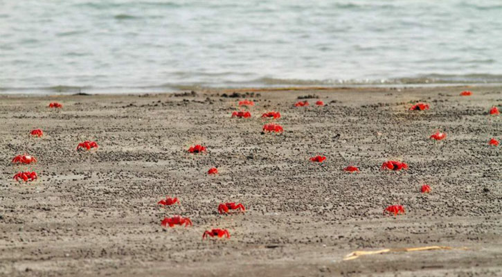 Rus er va xotin yotoqda jinsiy aloqada