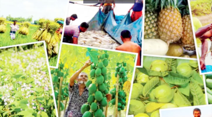 সম্ভাবনাময় কৃষির সমস্যা ও প্রতিকার প্রসঙ্গে