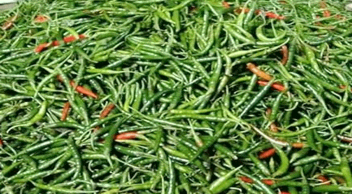 হিলি স্থলবন্দর দিয়ে কাঁচা মরিচ আমদানি শুরু