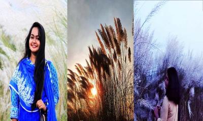 শরৎ মানেই জ্যোৎস্নায় ভাসা বিরহী রাত