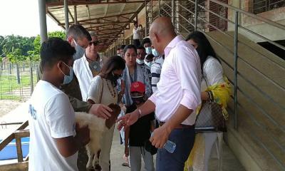 বাংলাদেশ এখনও দুগ্ধ উৎপাদনে শতভাগ স্বয়ংসম্পূর্ণ নয়