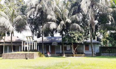 বাল্যবিয়ের বলি ৮৫ ছাত্রী 