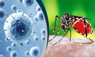 কমবে করোনা বাড়বে ডেঙ্গু