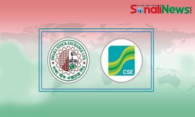 যে কারণে শেয়ারবাজারে বড় পতন