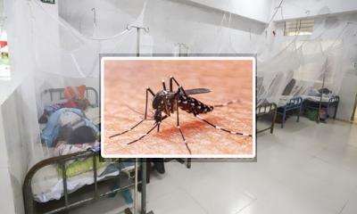 ৮৪ ডেঙ্গু রোগী হাসপাতালে ভর্তি, একদিনেই ১৯