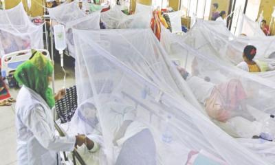 বাগে আসছে না ডেঙ্গু