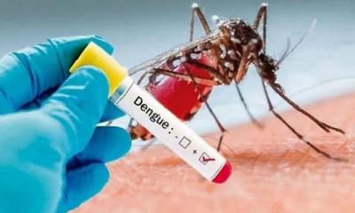 করোনার মধ্যেই ডেঙ্গুর হানা