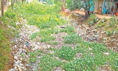 চারপাশেই মশার কারখানা, নাকাল রাজধানীবাসী